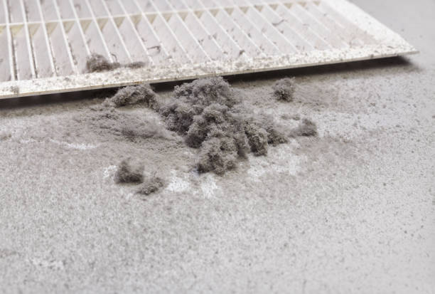 Best Affordable Air Duct Cleaning  in Clarinda, IA